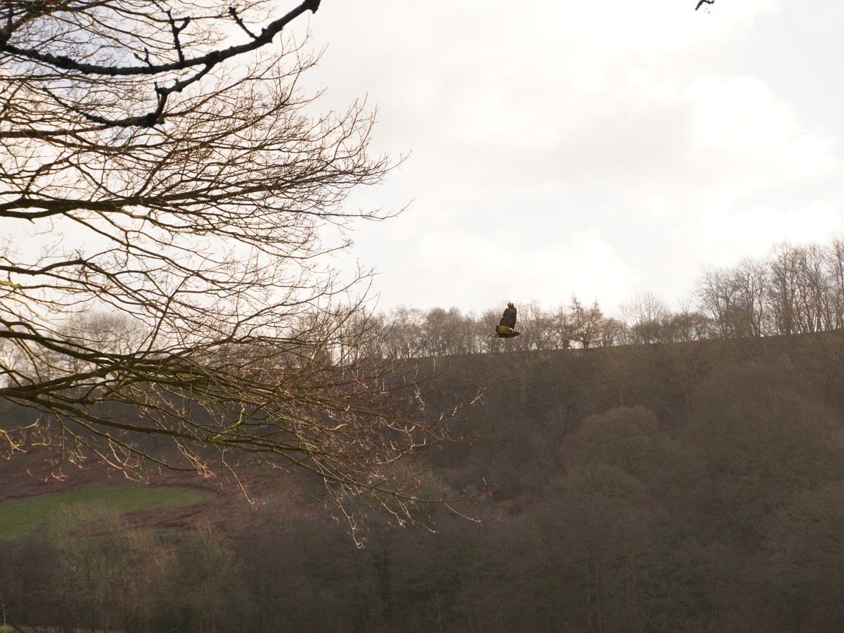 A time of transitions: a focus on&nbsp;farming