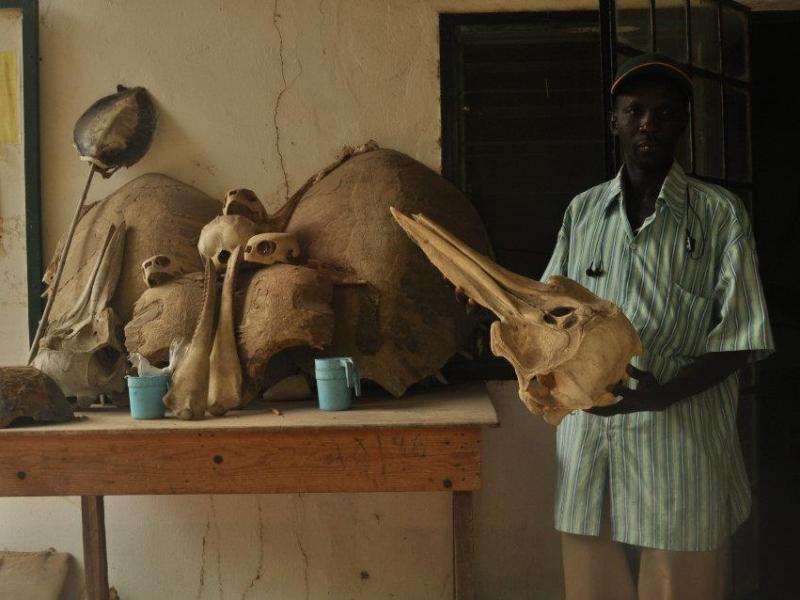 Dreams of the child in&nbsp;me